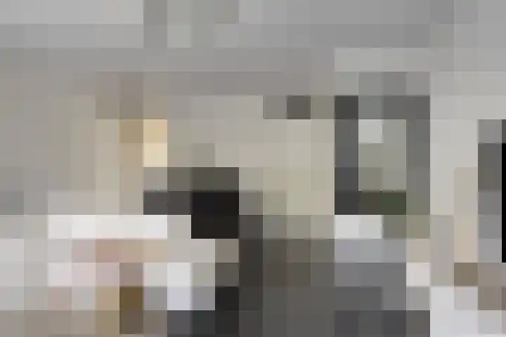 Ien Dalessingel 119 Zutphen thumbnail 8