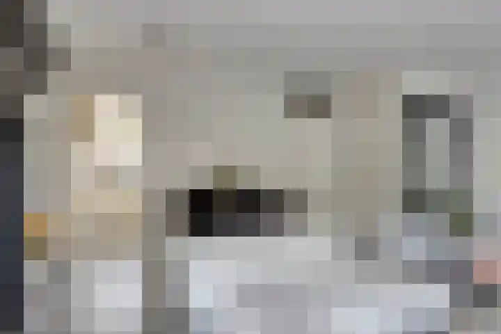 Ien Dalessingel 119 Zutphen thumbnail 9