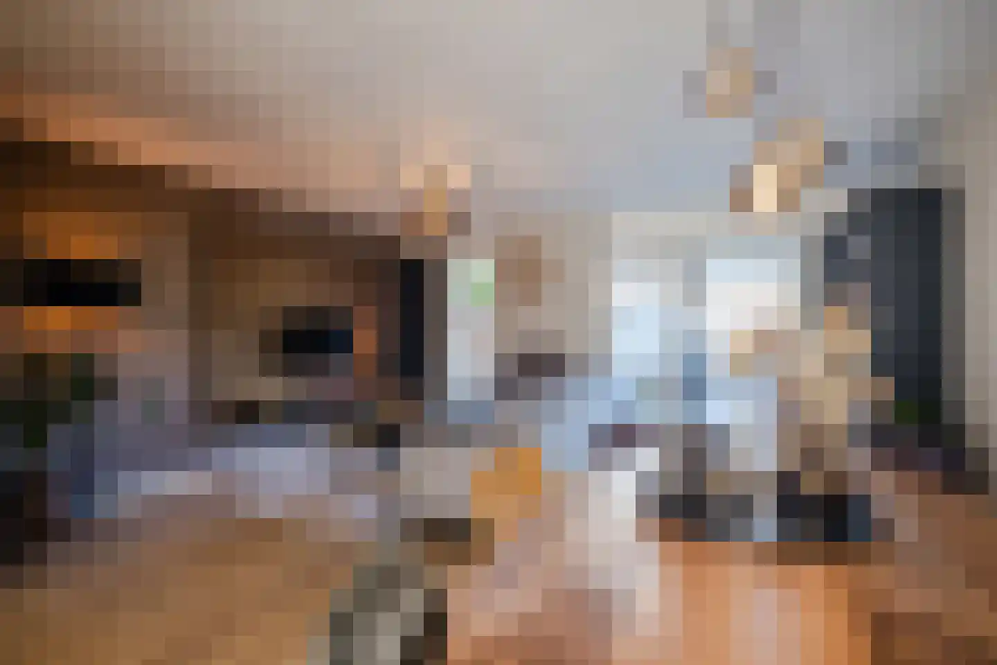 Ien Dalessingel 219 Zutphen thumbnail 12