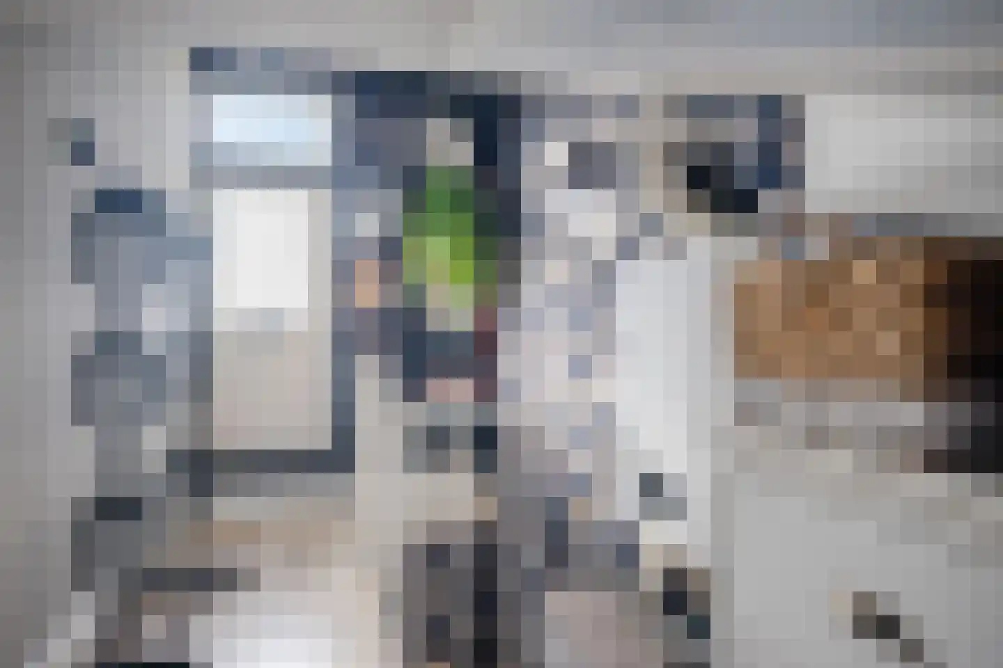 Ien Dalessingel 219 Zutphen thumbnail 31