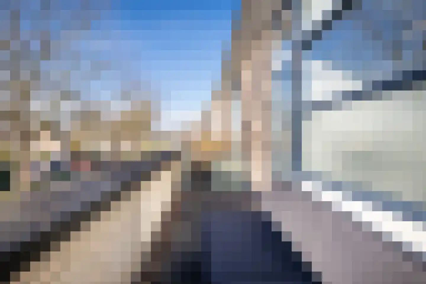 Ien Dalessingel 219 Zutphen thumbnail 36