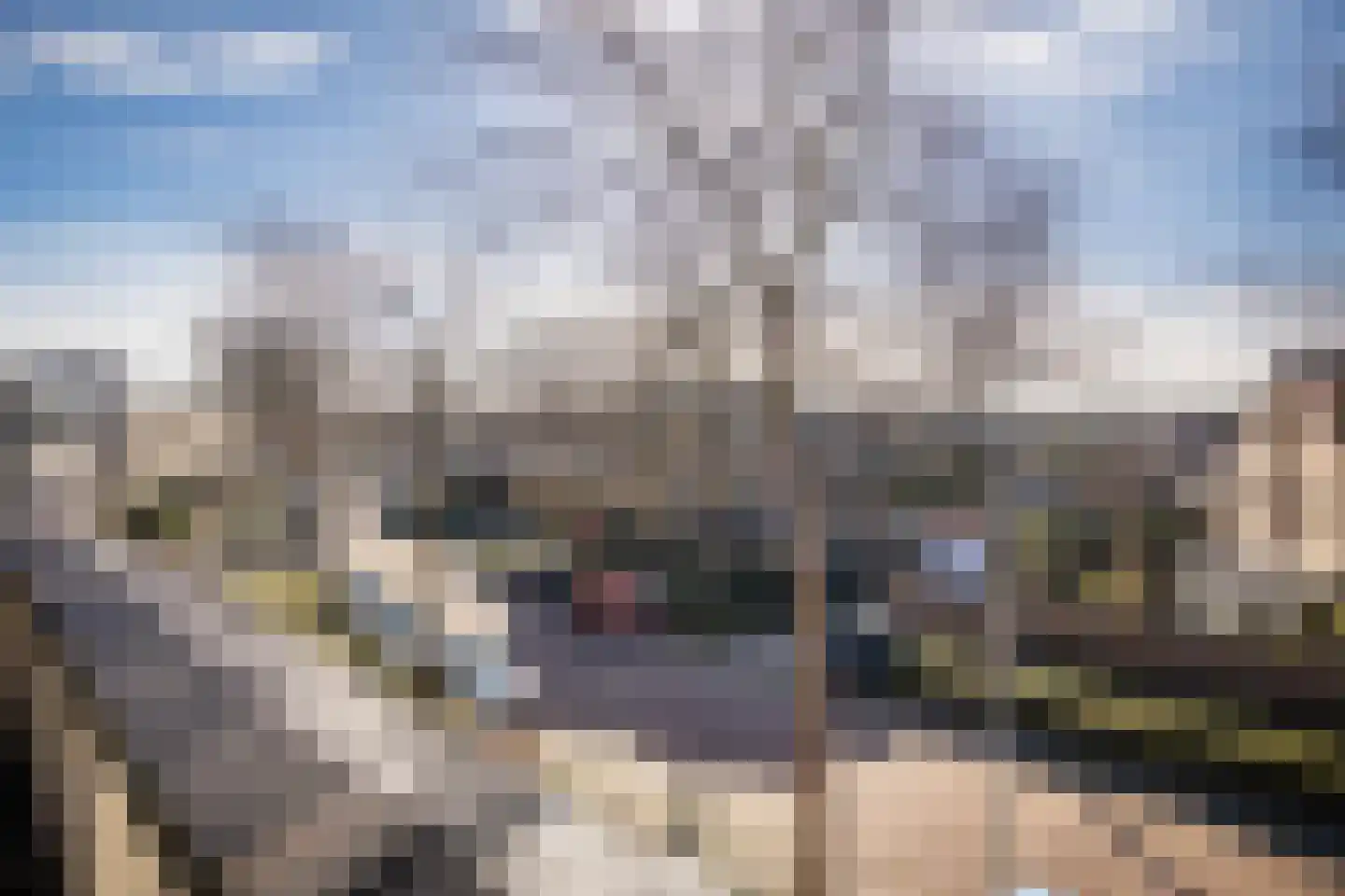 Ien Dalessingel 219 Zutphen thumbnail 38
