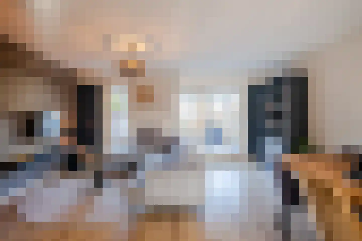 Ien Dalessingel 219 Zutphen thumbnail 4