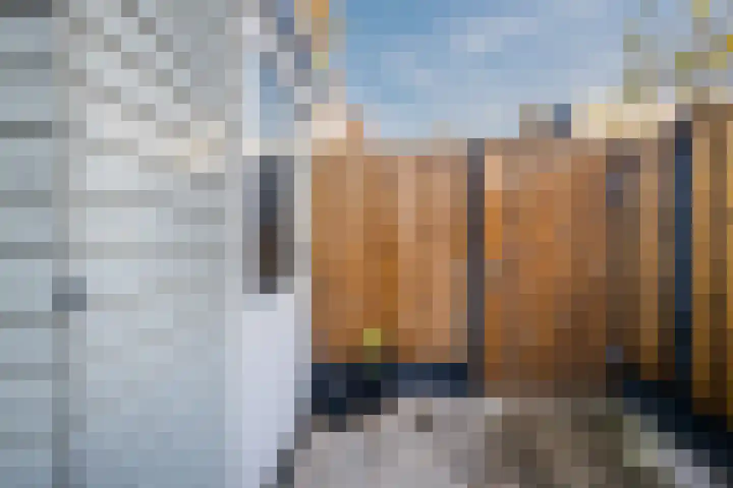 Ien Dalessingel 219 Zutphen thumbnail 42