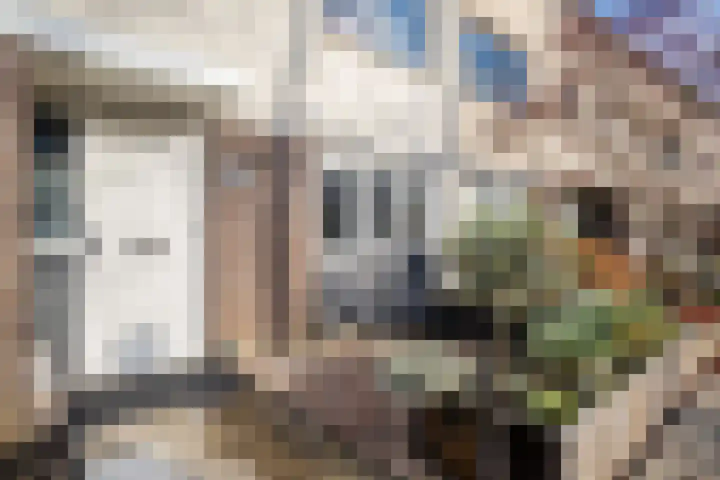 Ien Dalessingel 219 Zutphen thumbnail 46