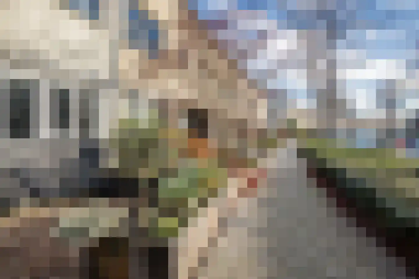 Ien Dalessingel 219 Zutphen thumbnail 49