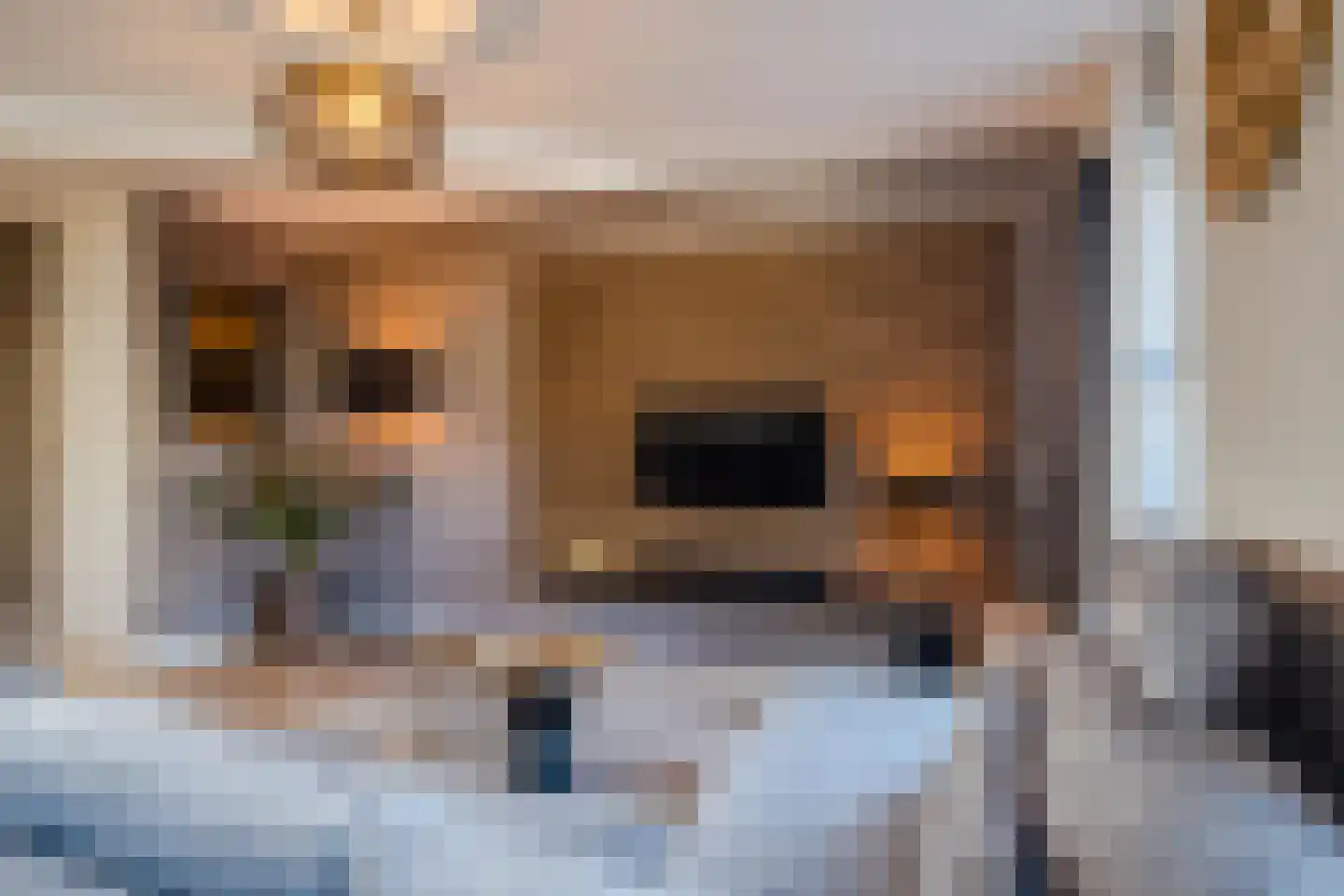 Ien Dalessingel 219 Zutphen thumbnail 8