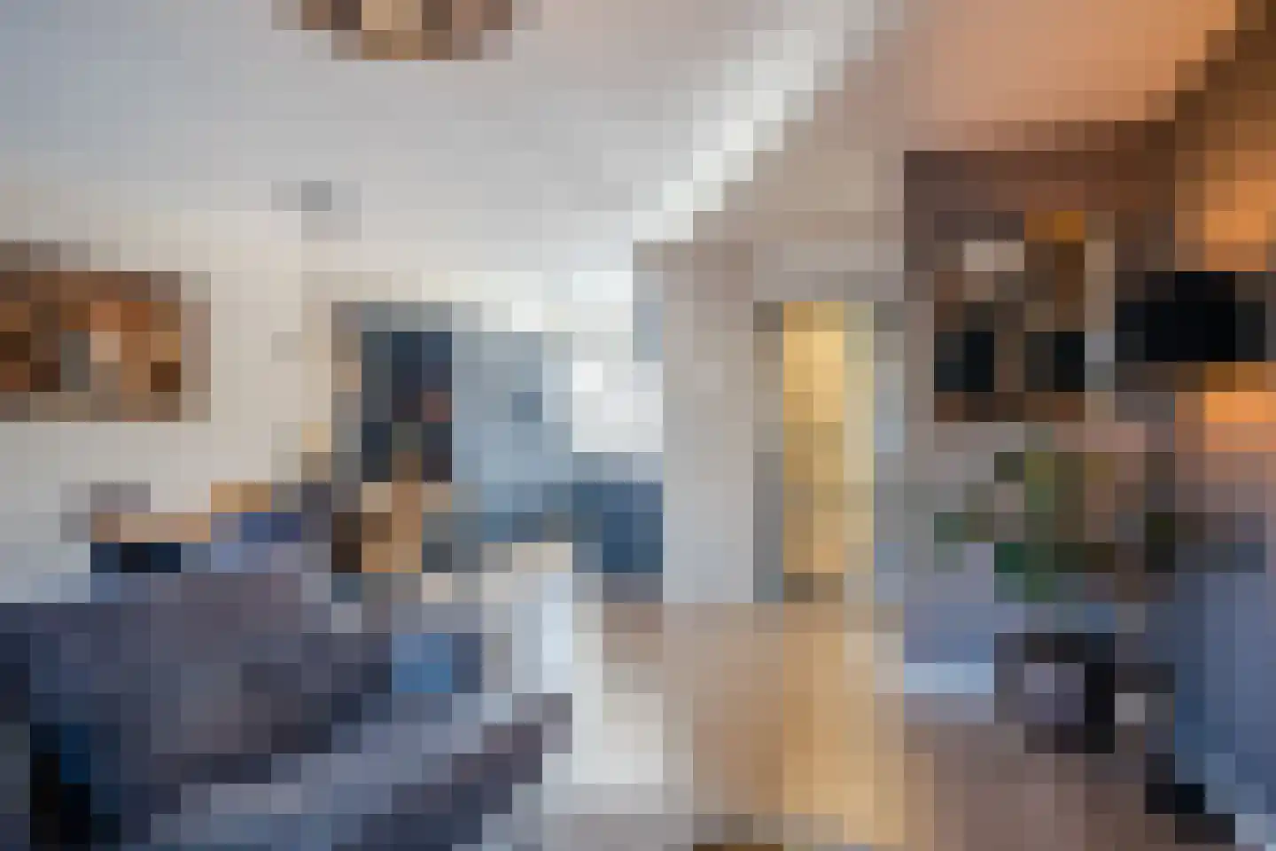 Ien Dalessingel 219 Zutphen thumbnail 9