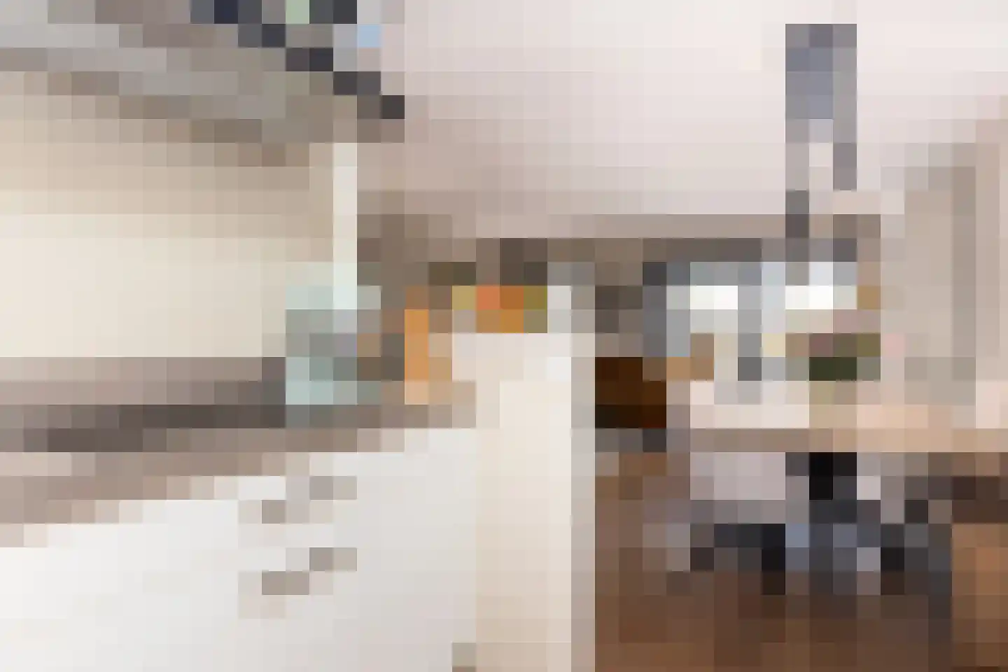 Ien Dalessingel 235 Zutphen thumbnail 15