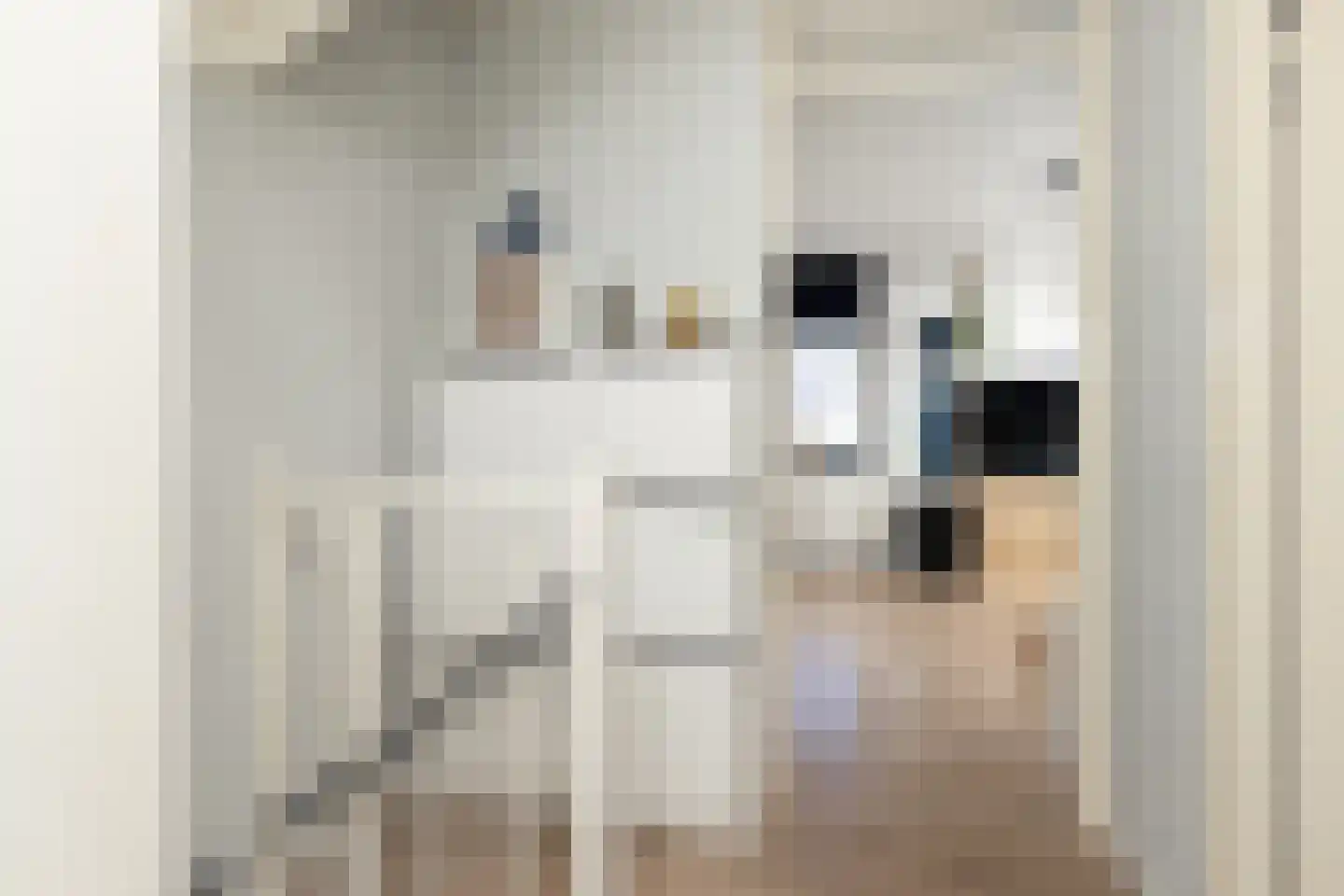 Ien Dalessingel 235 Zutphen thumbnail 21