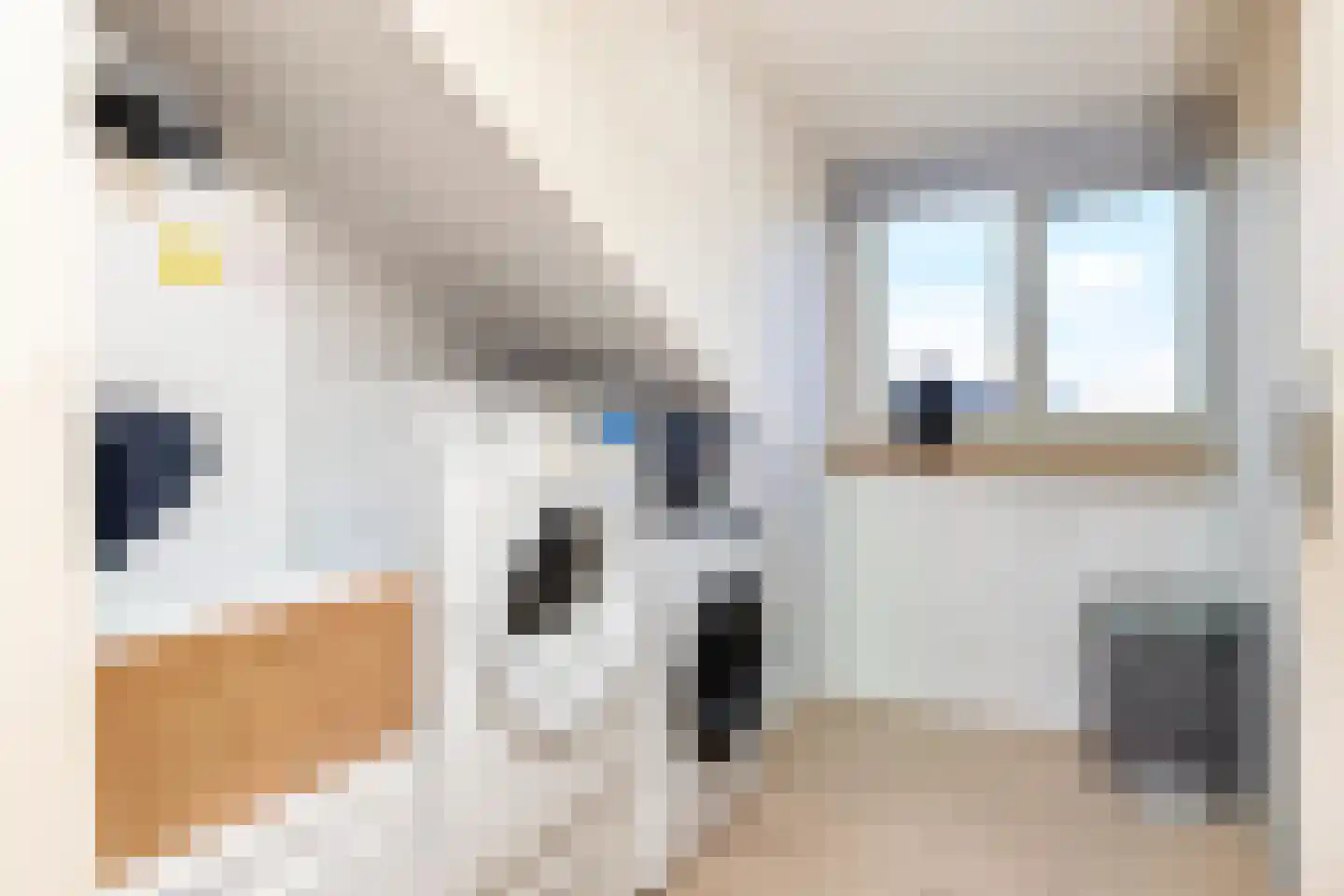 Ien Dalessingel 235 Zutphen thumbnail 27