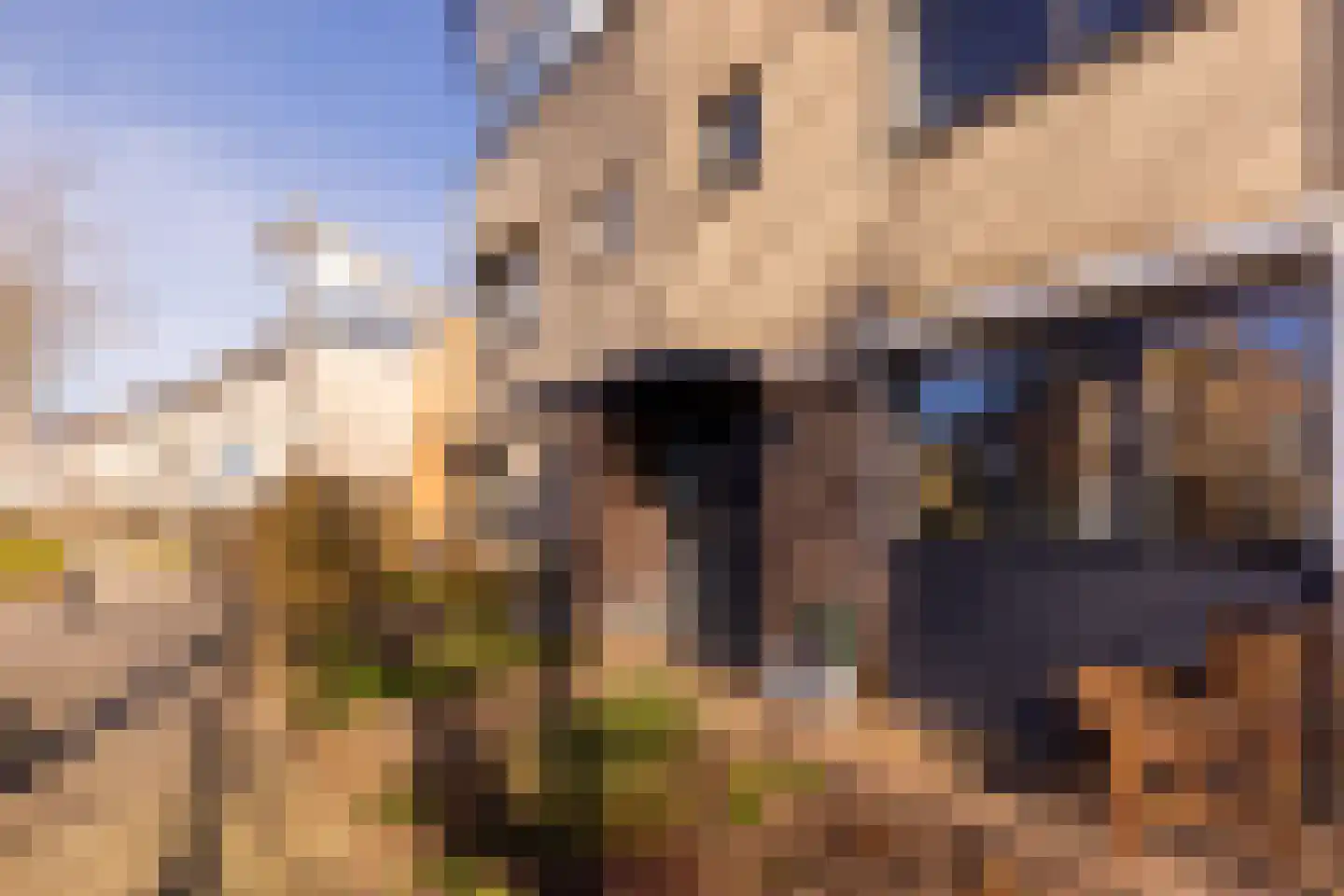 Ien Dalessingel 235 Zutphen thumbnail 31