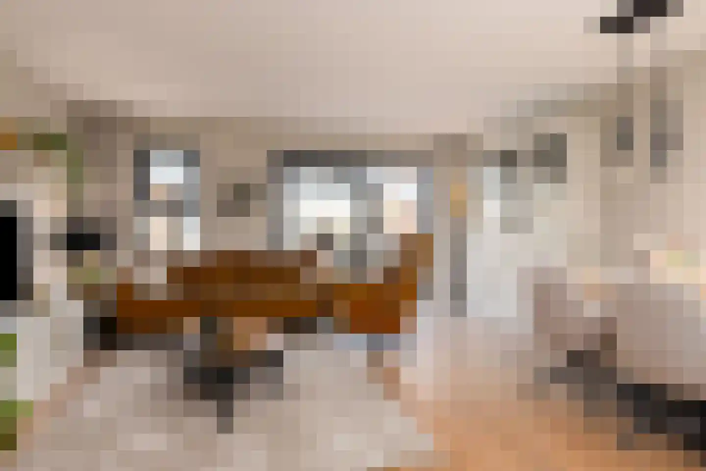 Ien Dalessingel 235 Zutphen thumbnail 8