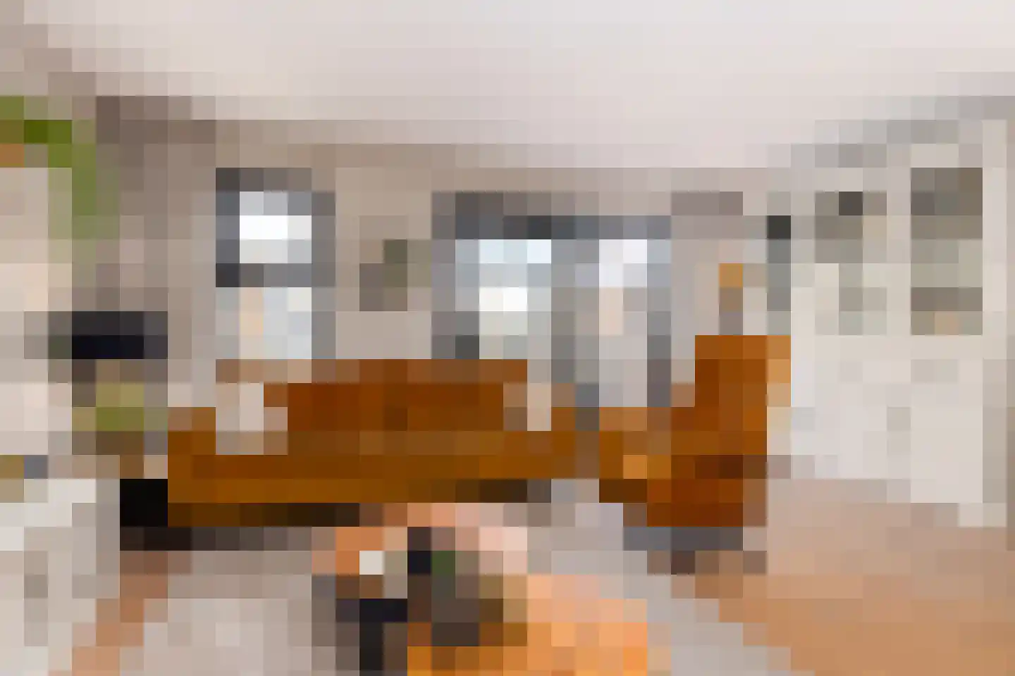 Ien Dalessingel 235 Zutphen thumbnail 9