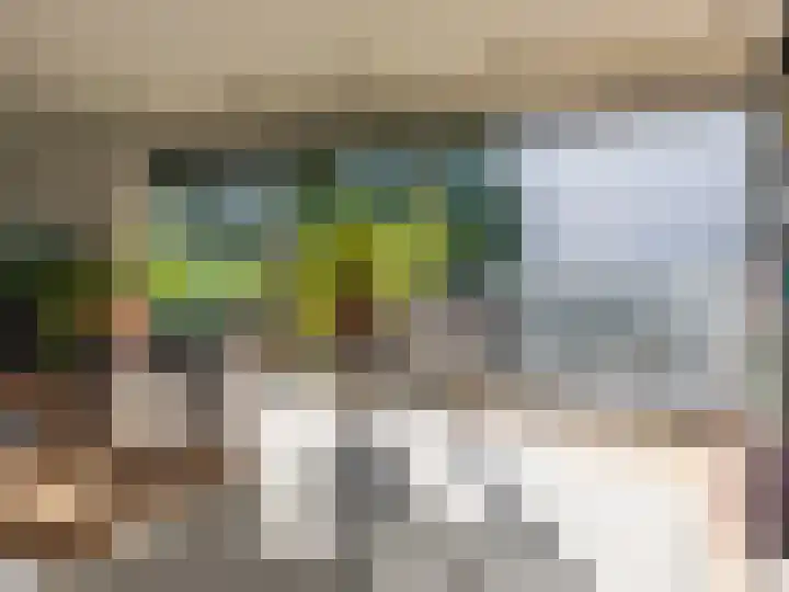 Ien Dalessingel 293 Zutphen thumbnail 10
