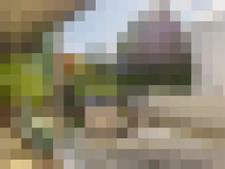 Ien Dalessingel 293 Zutphen thumbnail 11