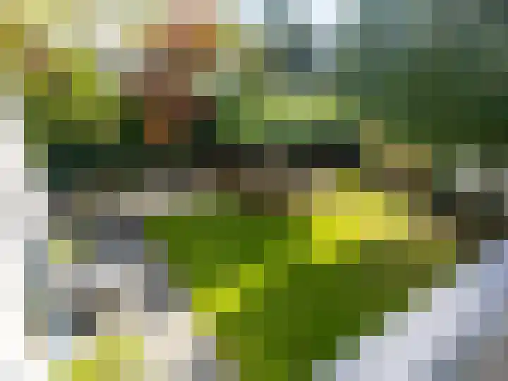 Ien Dalessingel 293 Zutphen thumbnail 13