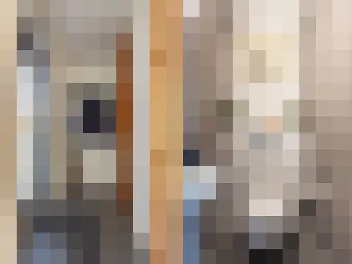 Ien Dalessingel 293 Zutphen thumbnail 14