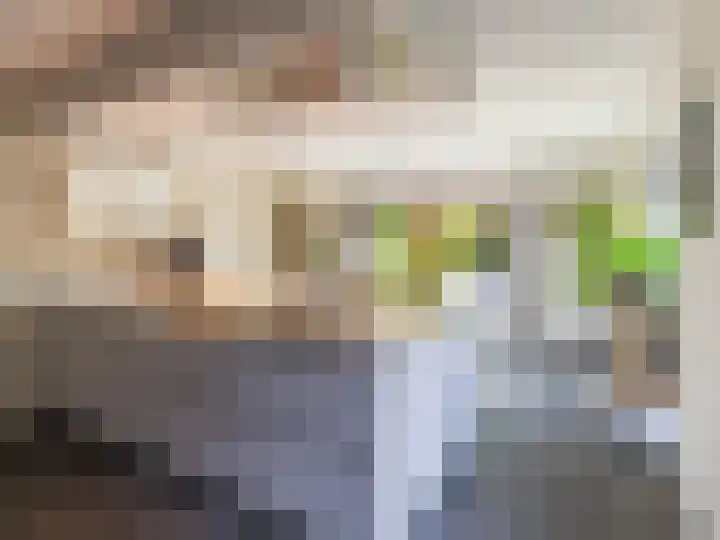 Ien Dalessingel 293 Zutphen thumbnail 15