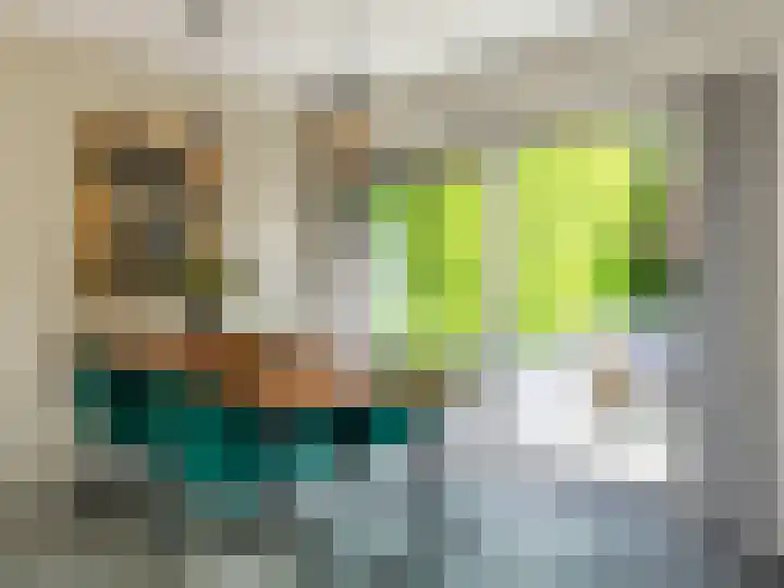 Ien Dalessingel 293 Zutphen thumbnail 18