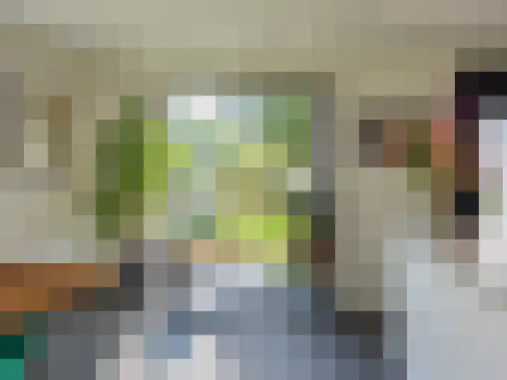 Ien Dalessingel 293 Zutphen thumbnail 19