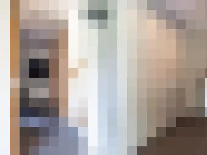 Ien Dalessingel 293 Zutphen thumbnail 20
