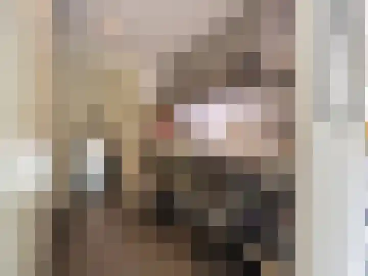 Ien Dalessingel 293 Zutphen thumbnail 21