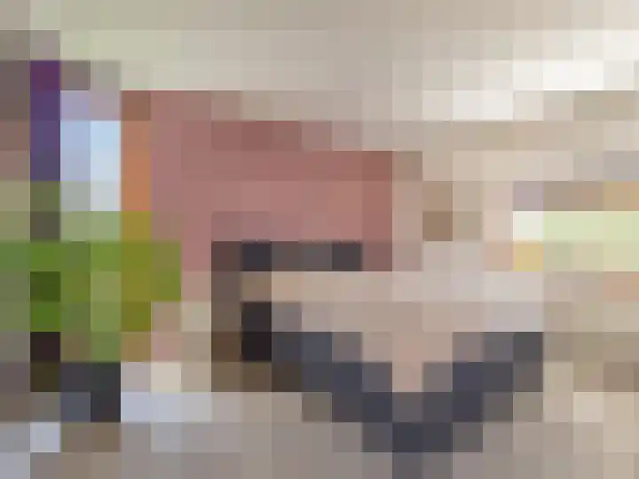 Ien Dalessingel 293 Zutphen thumbnail 22