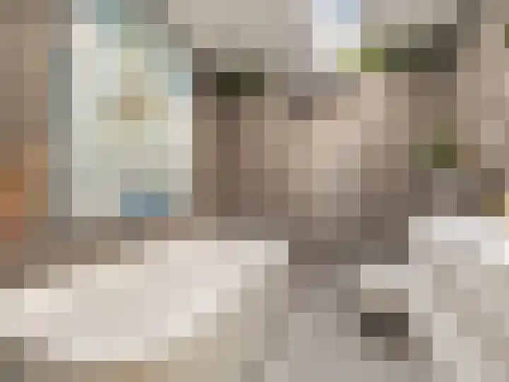 Ien Dalessingel 293 Zutphen thumbnail 23