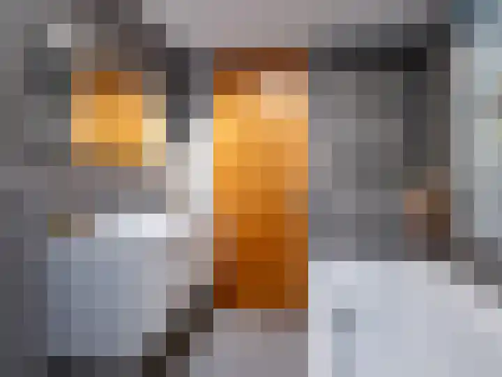 Ien Dalessingel 293 Zutphen thumbnail 24