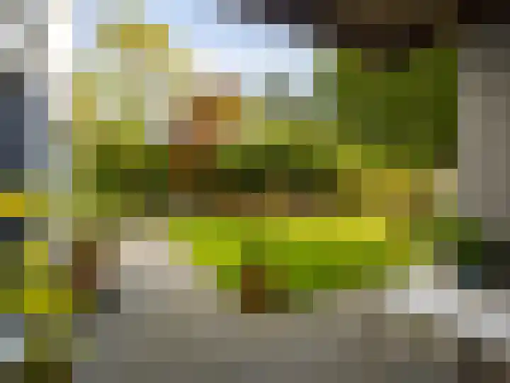 Ien Dalessingel 293 Zutphen thumbnail 28