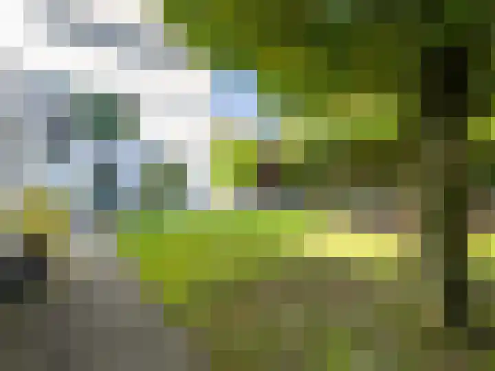 Ien Dalessingel 293 Zutphen thumbnail 29
