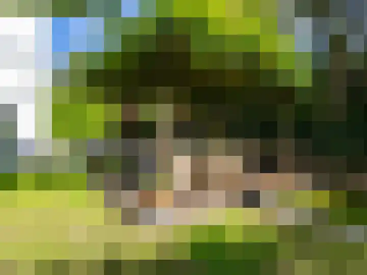 Ien Dalessingel 293 Zutphen thumbnail 30