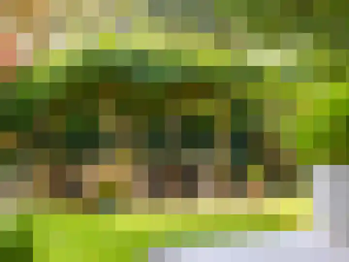 Ien Dalessingel 293 Zutphen thumbnail 31