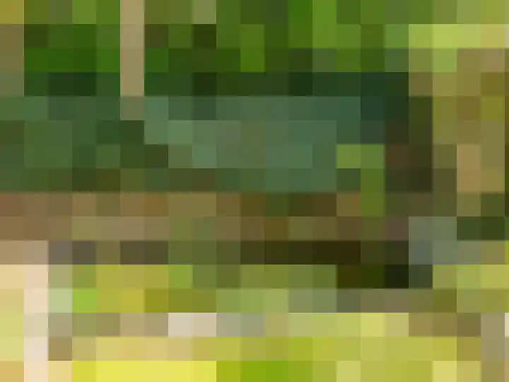 Ien Dalessingel 293 Zutphen thumbnail 32