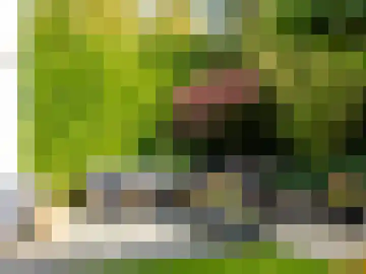 Ien Dalessingel 293 Zutphen thumbnail 34