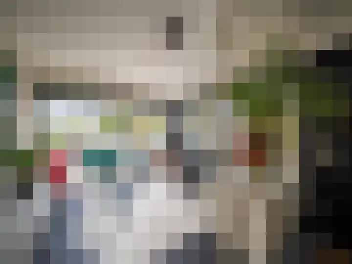 Ien Dalessingel 293 Zutphen thumbnail 4