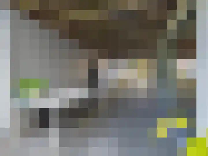 Ien Dalessingel 293 Zutphen thumbnail 40