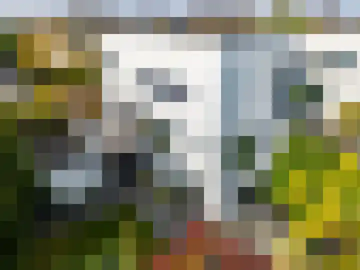 Ien Dalessingel 293 Zutphen thumbnail 41