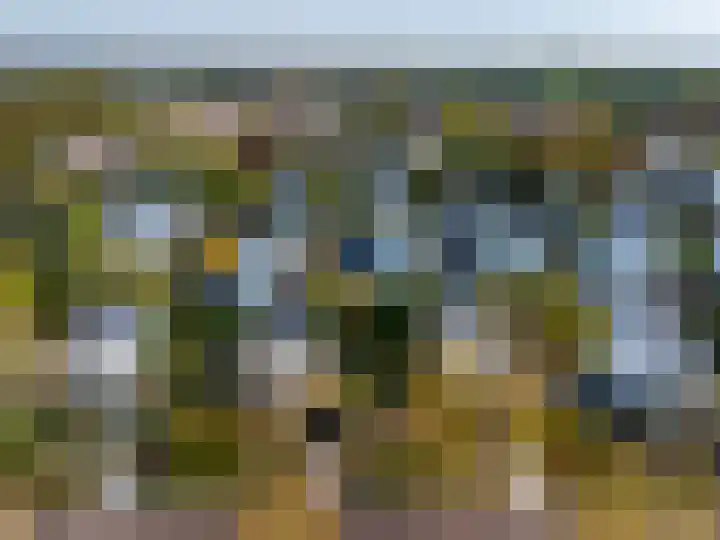 Ien Dalessingel 293 Zutphen thumbnail 45