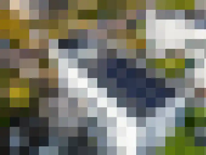 Ien Dalessingel 293 Zutphen thumbnail 46