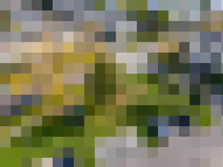 Ien Dalessingel 293 Zutphen thumbnail 47