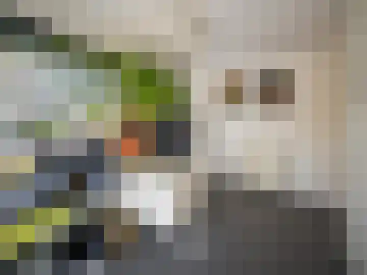Ien Dalessingel 293 Zutphen thumbnail 5