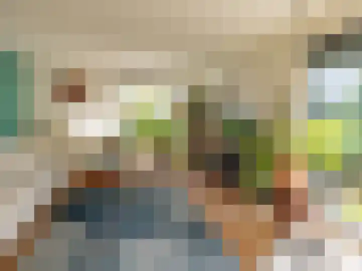 Ien Dalessingel 293 Zutphen thumbnail 7