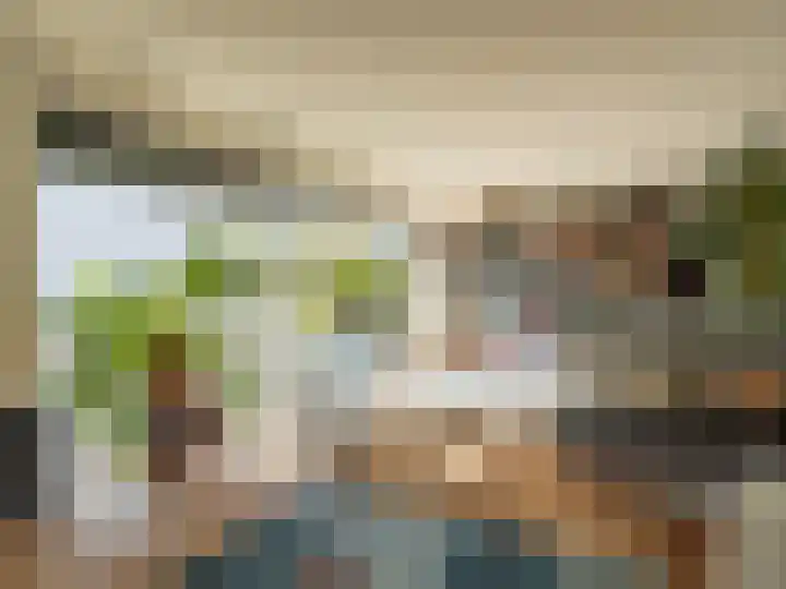 Ien Dalessingel 293 Zutphen thumbnail 9