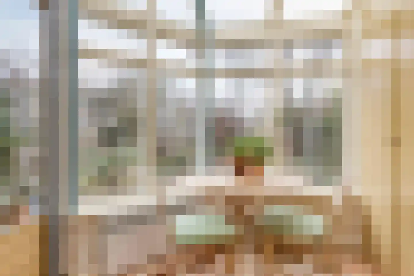 Ien Dalessingel 31 Zutphen thumbnail 17