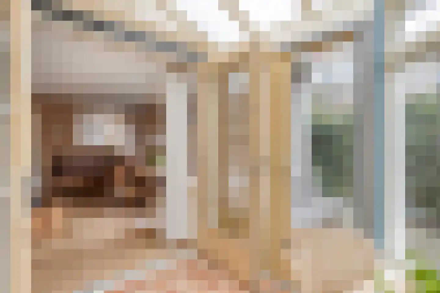 Ien Dalessingel 31 Zutphen thumbnail 18