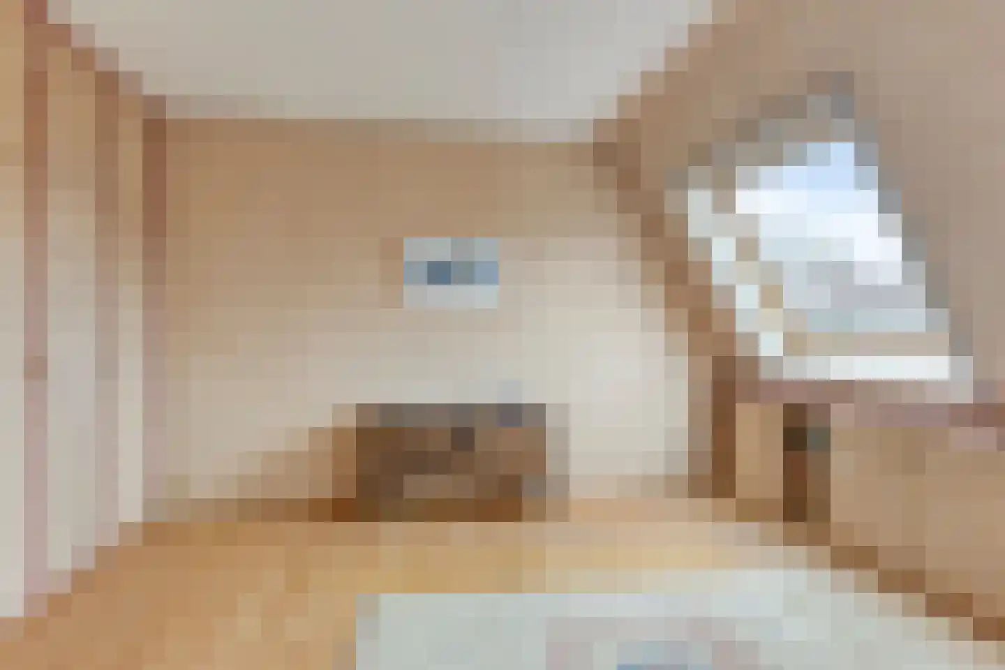 Ien Dalessingel 31 Zutphen thumbnail 25