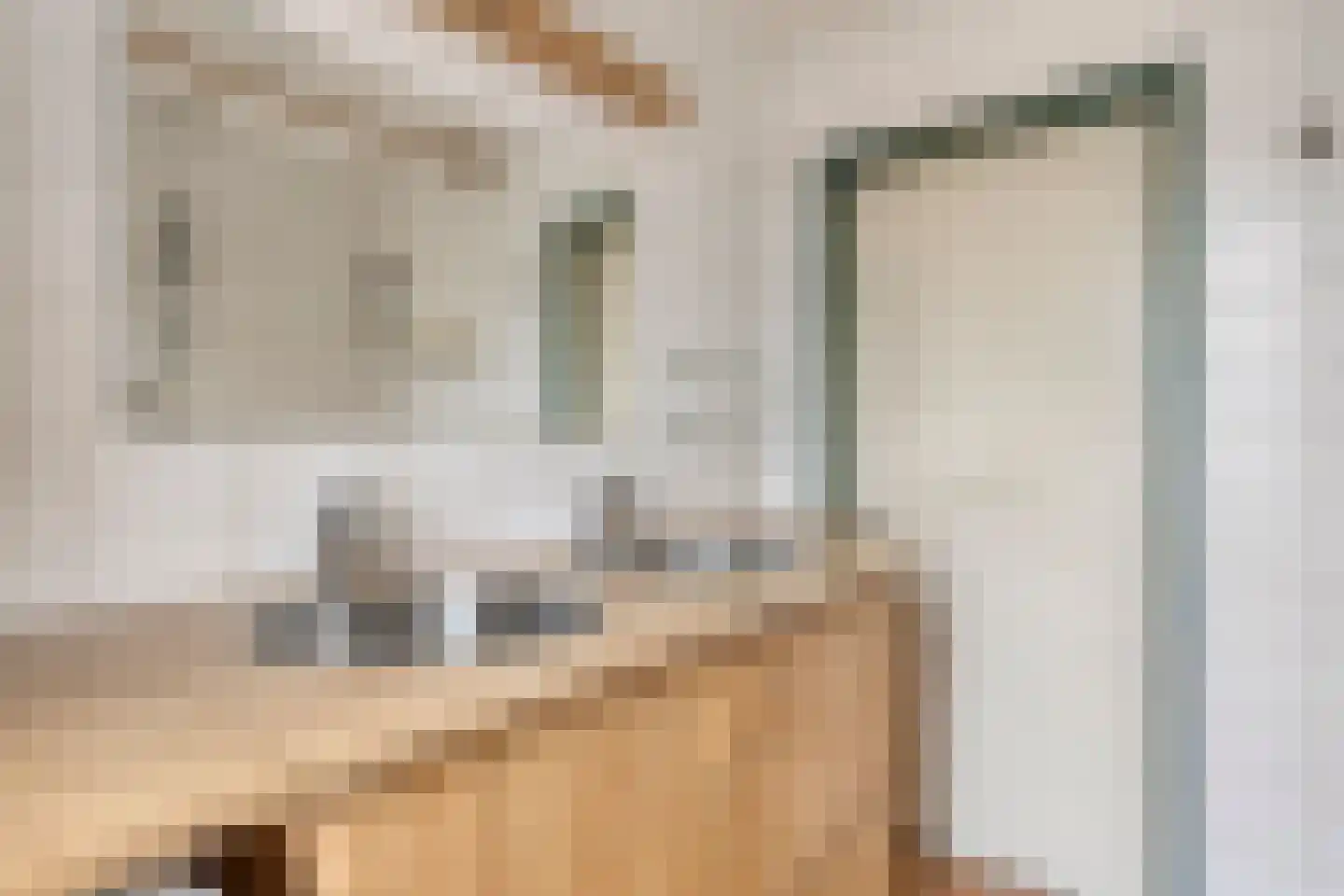 Ien Dalessingel 31 Zutphen thumbnail 27