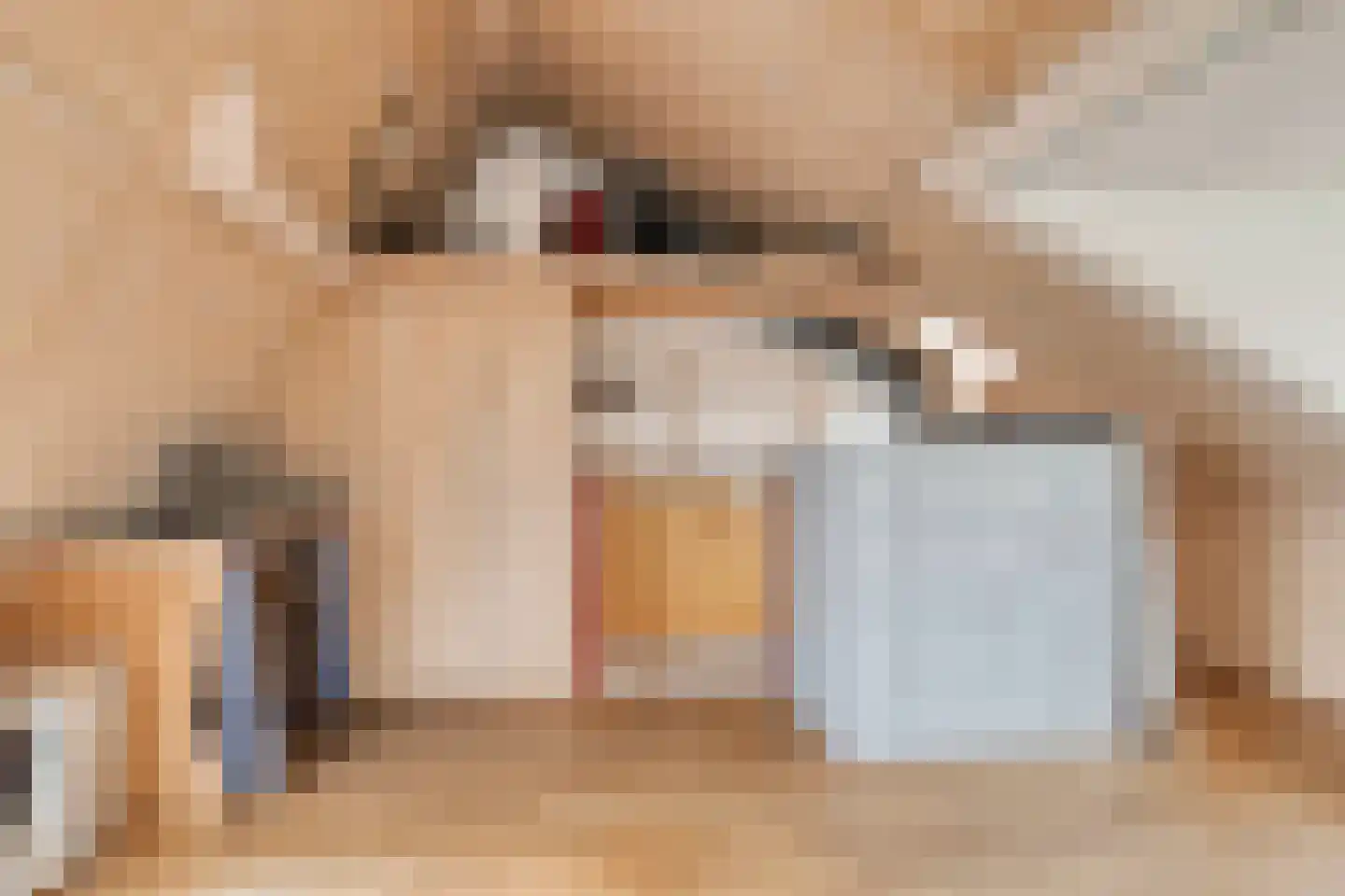 Ien Dalessingel 31 Zutphen thumbnail 33